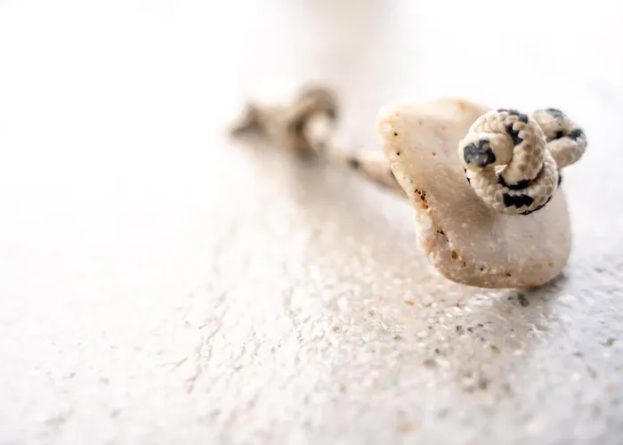 Agrikea 4* Korissia (Kea)